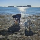 투어지오 이미지