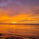 제부로 R 이미지