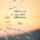아름다운 인생. 마음의 방향. 위대한 친구.파라오의 근친혼. 봉선화연정 이미지