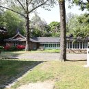 나도 팬플룻 연주자 이미지