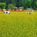 청주목장 이미지