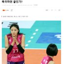 한국을 완전히 뒤집어 놨던 쌍둥이 여자 배구선수-4개월만에 복귀 이미지