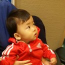 건우동물병원 이미지