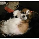 신촌동물병원 이미지