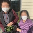 마니농장 이미지