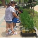 선행초등학교 이미지