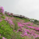 백양산 애진봉 이미지