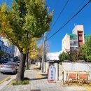 경희대원한의원 이미지