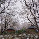 천주산 입구 이미지