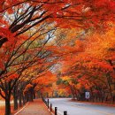 내장산관광안내소 이미지