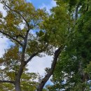 두륜산관광펜션 이미지