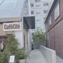 성수 | 신상 테라스 카페 카페씨떼 내돈내산 솔직후기 🤍