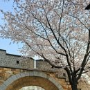 가나안주유소 이미지