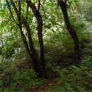 구산면580 이미지