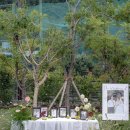 라포레 (LA FORET) | [호텔수성ㅣ야외예식식 ] 라포레수성 Laforet 첫 예식 후기