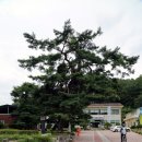 증산면사무소