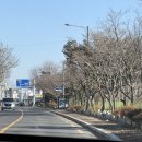 하양꿈바우시장 | 🐷 경산 자인시장 &amp; 하양 꿈바우시장 방문 후기