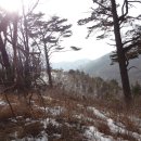 봉우리목장 이미지