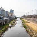 학장천 강변갤러리 이미지