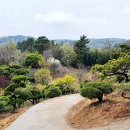 대영농원 이미지