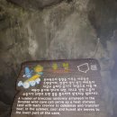 울릉도 (저동~봉래폭포~성인봉~나래분지) 이미지