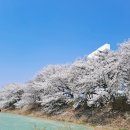 나들이공원 배드민턴장 이미지
