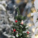 화성삼성의원 이미지