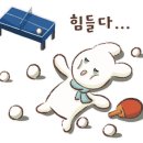 랠리탁구장
