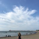 바이러닉파스타바이태원점 | jeju in summer