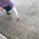 탑바다낚시마트