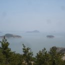 천해연 Daum카페