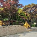 국민여가캠핑장 주차장 이미지