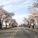 낙동강변로5-4 이미지