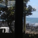 위미그라스 이미지