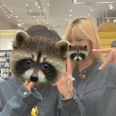 블로그제목 못정하겠다 꾀꼬리(9/4-9/28)