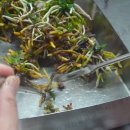 소라농장 이미지