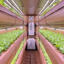 중동팜 주식회사 이미지