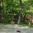 태강릉 입구 이미지