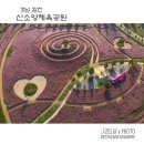 신소양체육공원 티스토리