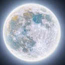 정시영왕족발병영점 | 존중받아야해요