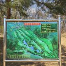 군부대(육군제2089부대) | 🌸 [수도권 가성비 골프장] 벚꽃라운딩 덕산대 체력단련장 라운딩 후기 및 군부대 골프장 예약 방법