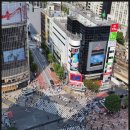 스타벅스 교차로 앞 이미지