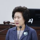 김순애 이미지