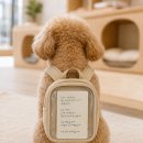 펫친구(48고4456) | 사례25.강남 반려견 유치원은 왜 한 달에 한 번 ‘손글씨 가정통신문’을 보낼까?