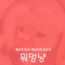 멍냥스토리 - 양주시 옥정로 204 | 멍냥스토리