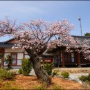 도암서원(道巖書院) Daum카페