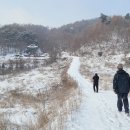 상그린로 Daum카페