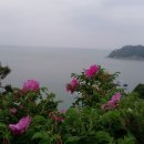 용궁여인숙 네이버블로그