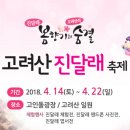 4/17(화)고려산진달래축제 초특가 9,900원 -인원수 관계 없이 진행 -협력여행사 상품 이미지