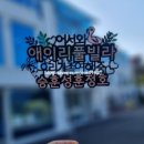 충주호수상레저 네이버블로그